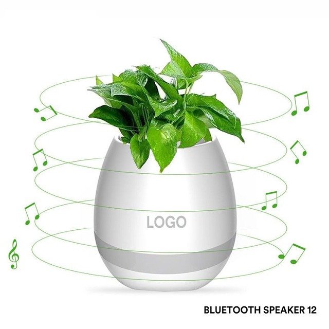 Bluetooth speaker 12