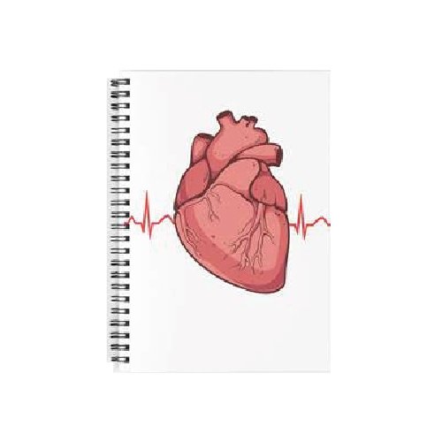 Cuaderno Espiral