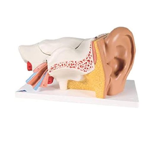Maqueta 3D