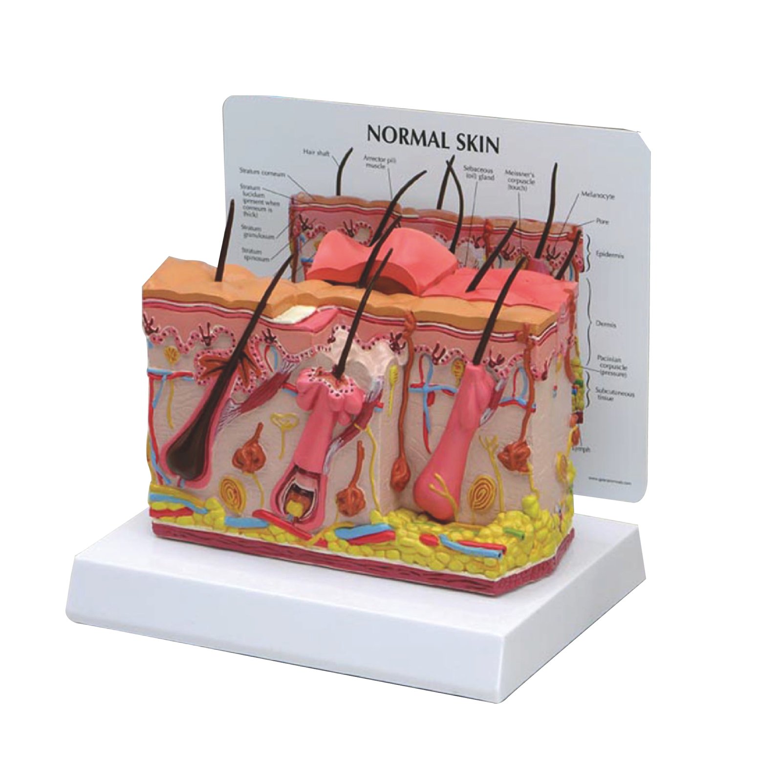 MAQUETA 3D