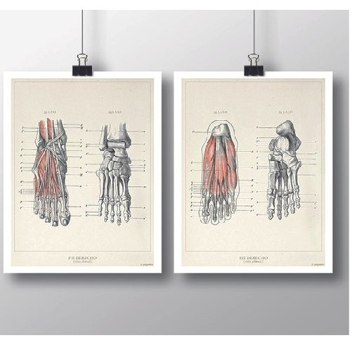 Cuadro Decorativo