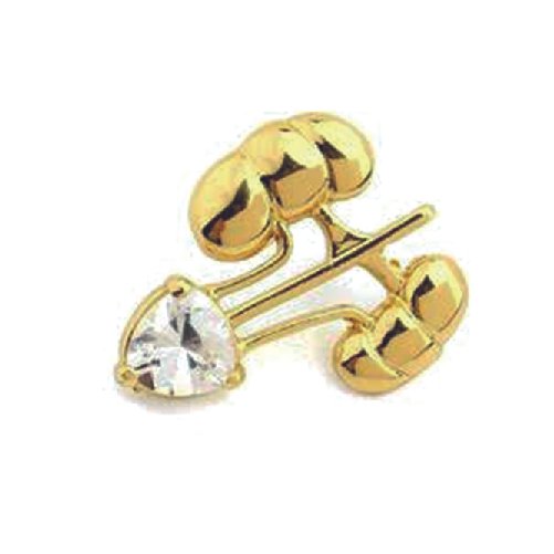 Pin de riñon
