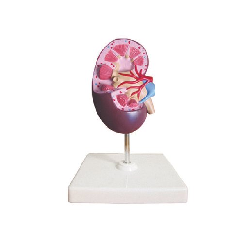 Maqueta 3D