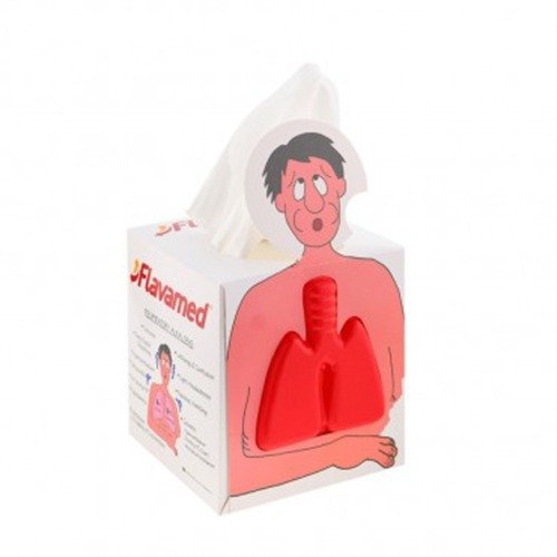 Pañuelos Faciales
