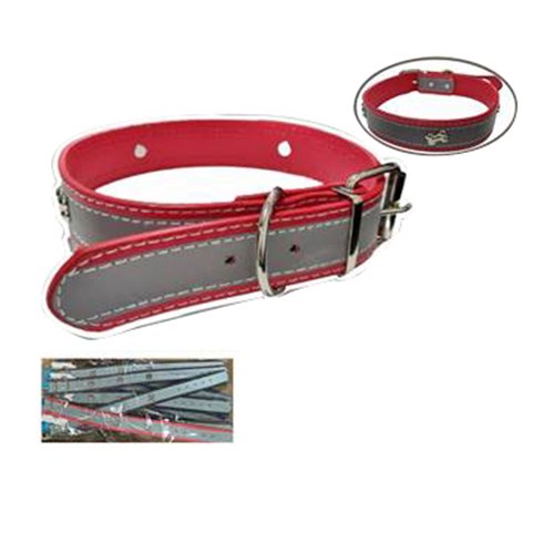 Collar para mascota