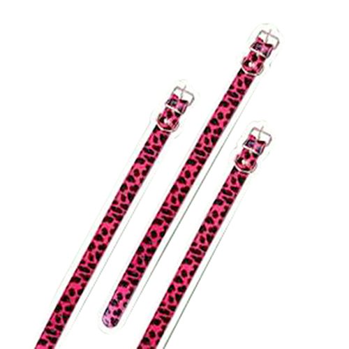 Collar para gatos